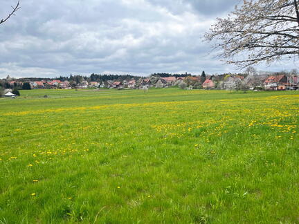 23-04-30 13-38-45 5242